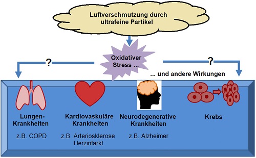 Grafik UFP-Wirkungen